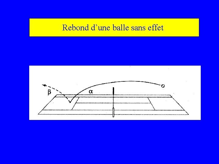Rebond d’une balle sans effet 
