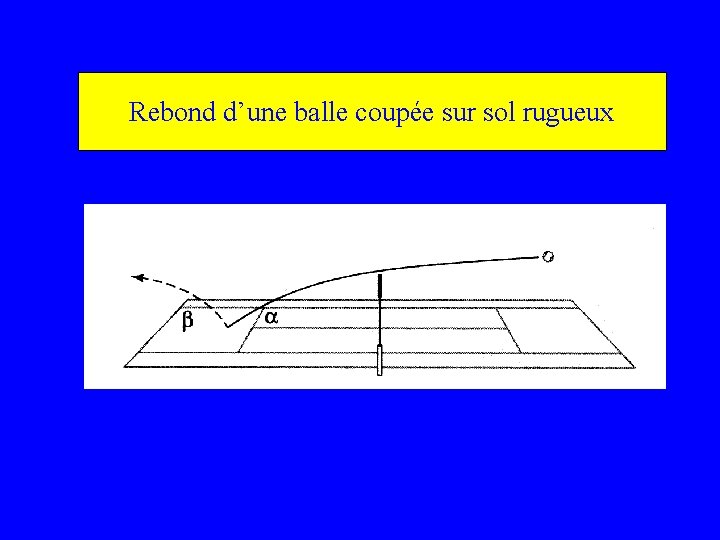  Rebond d’une balle coupée sur sol rugueux 