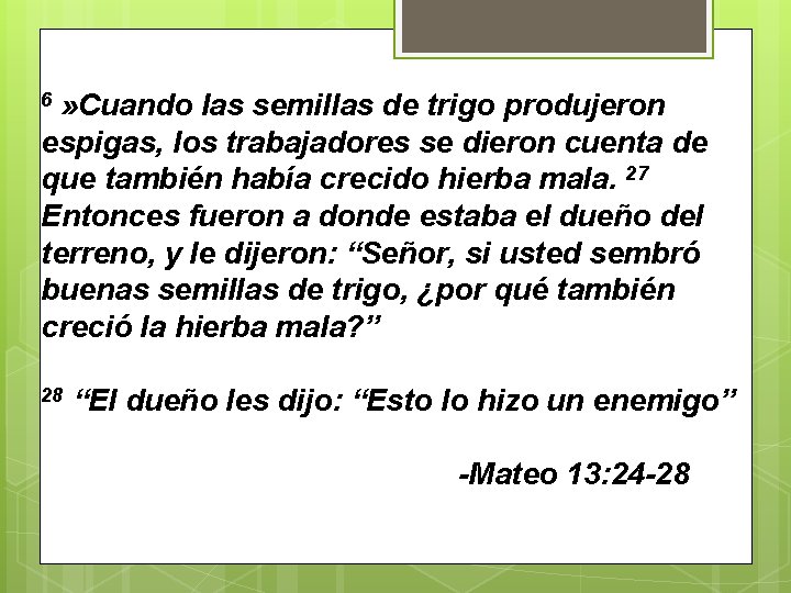 » Cuando las semillas de trigo produjeron espigas, los trabajadores se dieron cuenta de