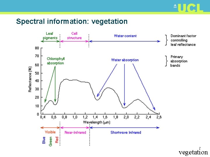 Spectral information: vegetation 27 vegetation 