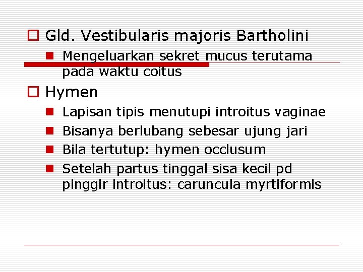 o Gld. Vestibularis majoris Bartholini n Mengeluarkan sekret mucus terutama pada waktu coitus o