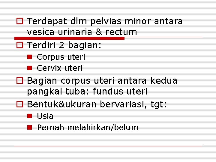 o Terdapat dlm pelvias minor antara vesica urinaria & rectum o Terdiri 2 bagian: