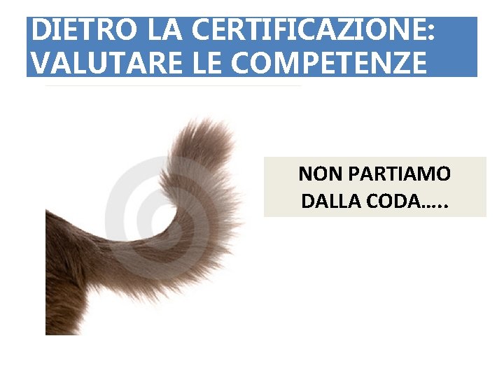 DIETRO LA CERTIFICAZIONE: VALUTARE LE COMPETENZE NON PARTIAMO DALLA CODA…. . 