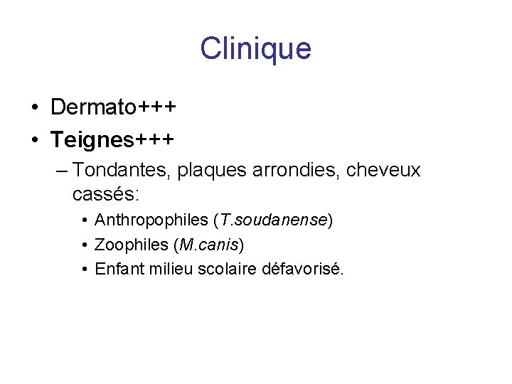 Clinique • Dermato+++ • Teignes+++ – Tondantes, plaques arrondies, cheveux cassés: • Anthropophiles (T.