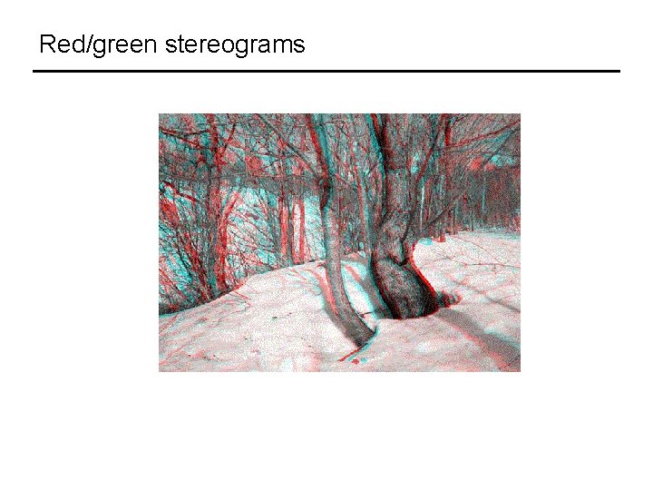 Red/green stereograms 