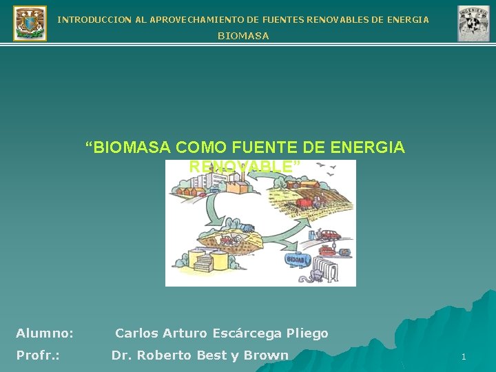 INTRODUCCION AL APROVECHAMIENTO DE FUENTES RENOVABLES DE ENERGIA BIOMASA “BIOMASA COMO FUENTE DE ENERGIA