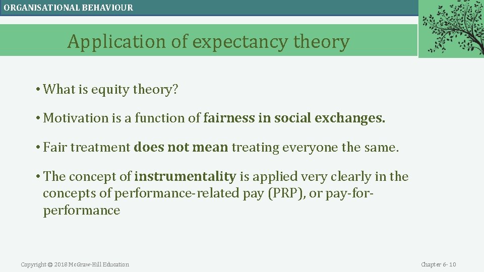 ORGANISATIONAL BEHAVIOUR Application of expectancy theory • What is equity theory? • Motivation is