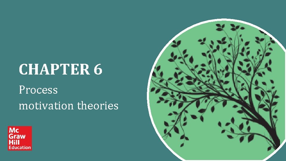 CHAPTER 6 Process motivation theories 