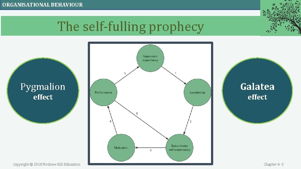 ORGANISATIONAL BEHAVIOUR The self-fulling prophecy Pygmalion Galatea effect Copyright © 2018 Mc. Graw-Hill Education