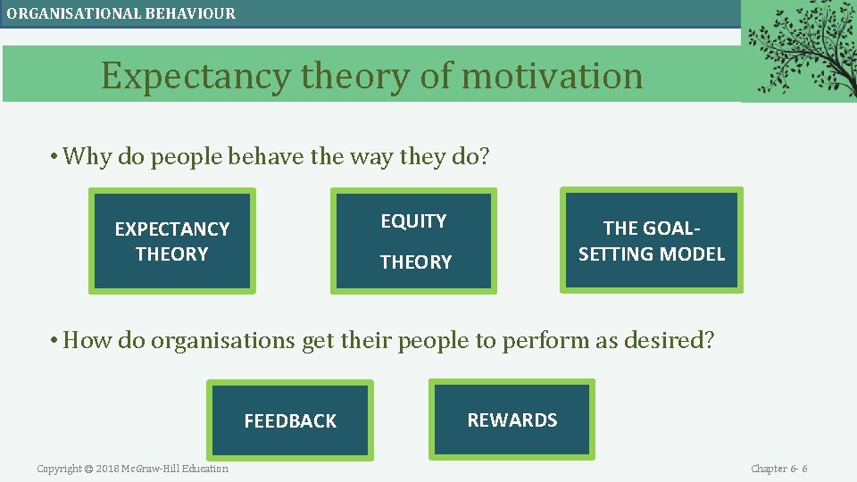 ORGANISATIONAL BEHAVIOUR Expectancy theory of motivation • Why do people behave the way they