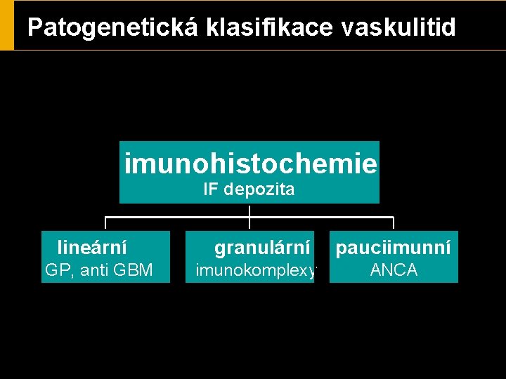 Patogenetická klasifikace vaskulitid imunohistochemie IF depozita lineární GP, anti GBM granulární imunokomplexy pauciimunní ANCA