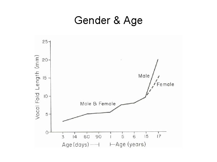Gender & Age Gender & Age