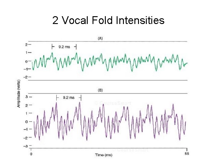 2 Vocal Fold Intensities 2 Vocal Fold Intensities