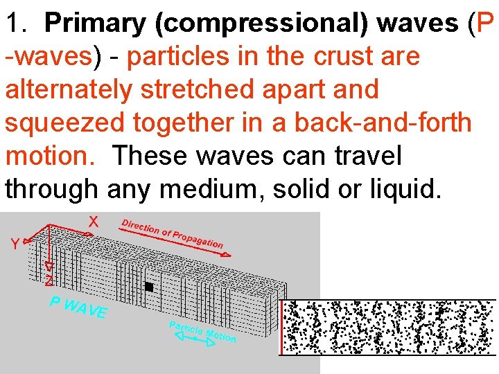 1. Primary (compressional) waves (P -waves) - particles in the crust are alternately stretched