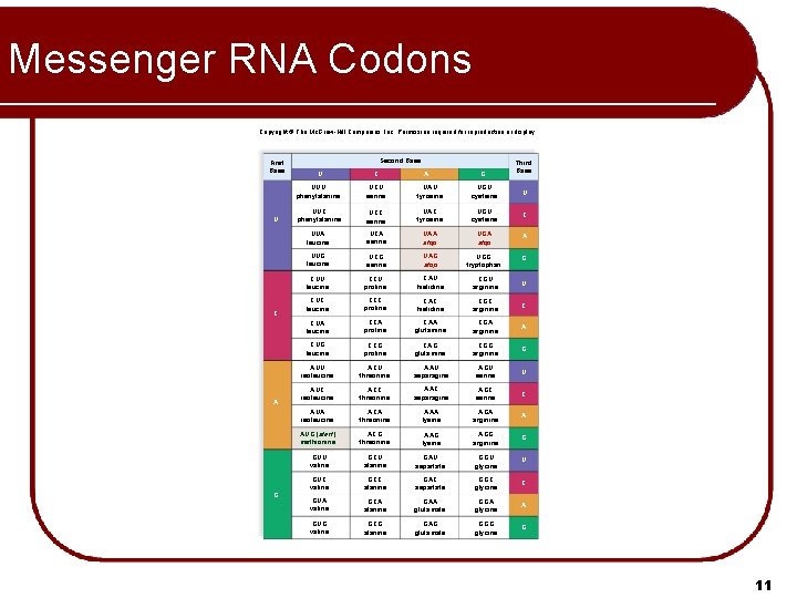 Messenger RNA Codons Copyright © The Mc. Graw-Hill Companies, Inc. Permission required for reproduction Messenger RNA Codons Copyright © The Mc. Graw-Hill Companies, Inc. Permission required for reproduction