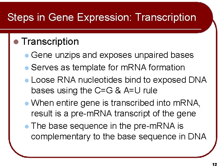 Steps in Gene Expression: Transcription l Transcription Gene unzips and exposes unpaired bases l Steps in Gene Expression: Transcription l Transcription Gene unzips and exposes unpaired bases l