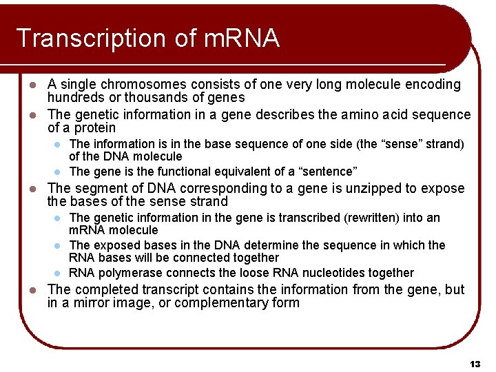 Transcription of m. RNA A single chromosomes consists of one very long molecule encoding Transcription of m. RNA A single chromosomes consists of one very long molecule encoding