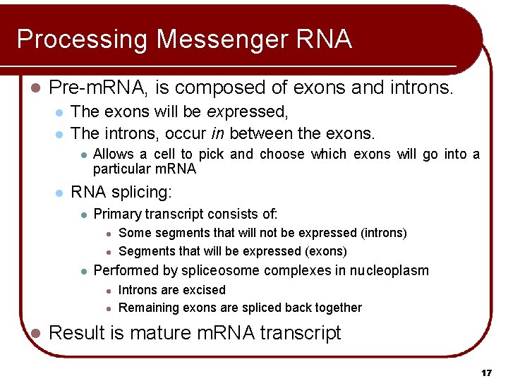 Processing Messenger RNA l Pre-m. RNA, is composed of exons and introns. l l Processing Messenger RNA l Pre-m. RNA, is composed of exons and introns. l l