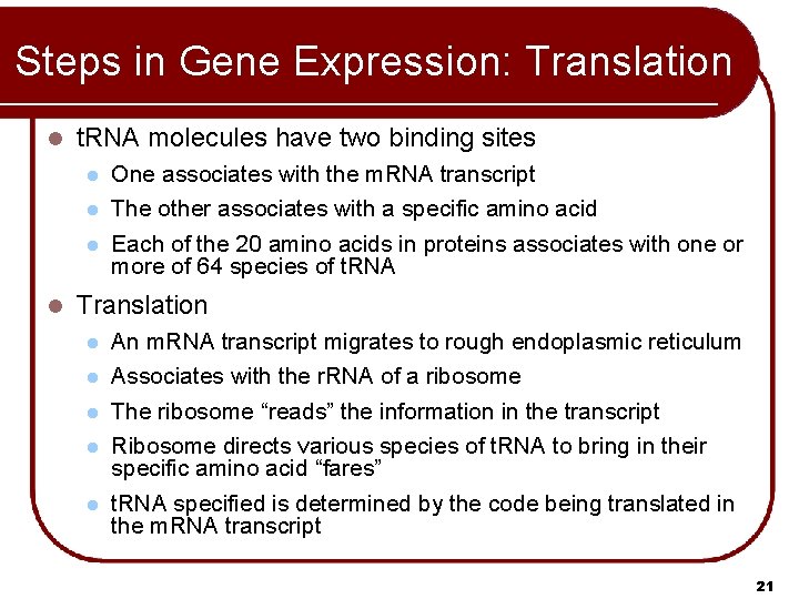 Steps in Gene Expression: Translation l t. RNA molecules have two binding sites l Steps in Gene Expression: Translation l t. RNA molecules have two binding sites l