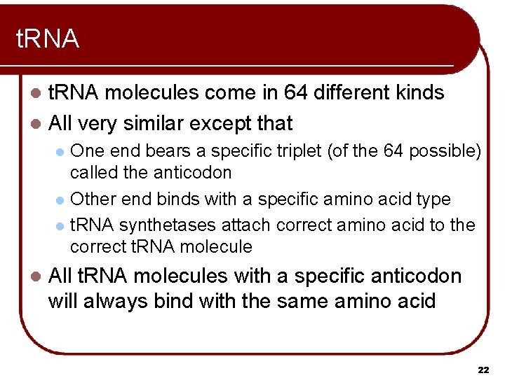 t. RNA molecules come in 64 different kinds l All very similar except that t. RNA molecules come in 64 different kinds l All very similar except that