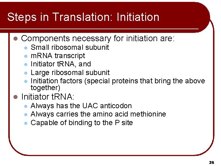 Steps in Translation: Initiation l Components necessary for initiation are: l l l Small Steps in Translation: Initiation l Components necessary for initiation are: l l l Small
