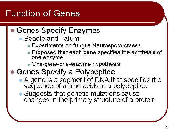 Function of Genes l Specify Enzymes Beadle and Tatum: Experiments on fungus Neurospora crassa Function of Genes l Specify Enzymes Beadle and Tatum: Experiments on fungus Neurospora crassa
