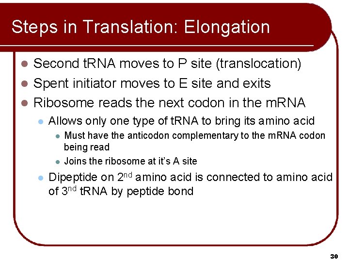 Steps in Translation: Elongation Second t. RNA moves to P site (translocation) l Spent Steps in Translation: Elongation Second t. RNA moves to P site (translocation) l Spent