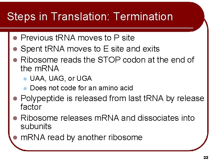 Steps in Translation: Termination Previous t. RNA moves to P site l Spent t. Steps in Translation: Termination Previous t. RNA moves to P site l Spent t.