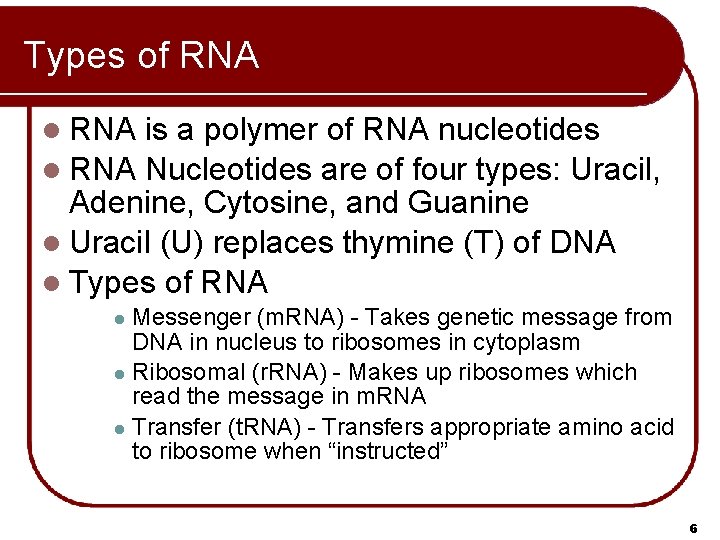 Types of RNA l RNA is a polymer of RNA nucleotides l RNA Nucleotides Types of RNA l RNA is a polymer of RNA nucleotides l RNA Nucleotides