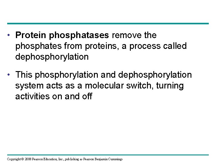  • Protein phosphatases remove the phosphates from proteins, a process called dephosphorylation •