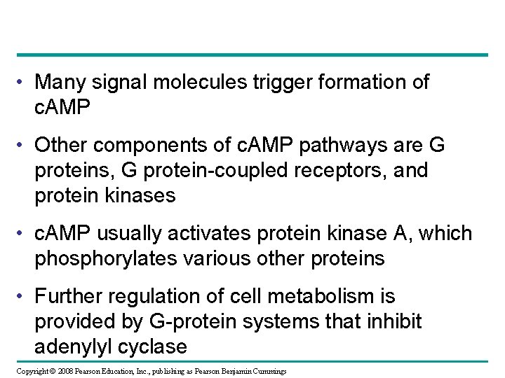  • Many signal molecules trigger formation of c. AMP • Other components of