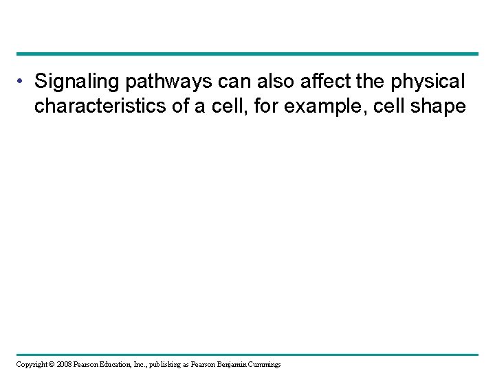  • Signaling pathways can also affect the physical characteristics of a cell, for