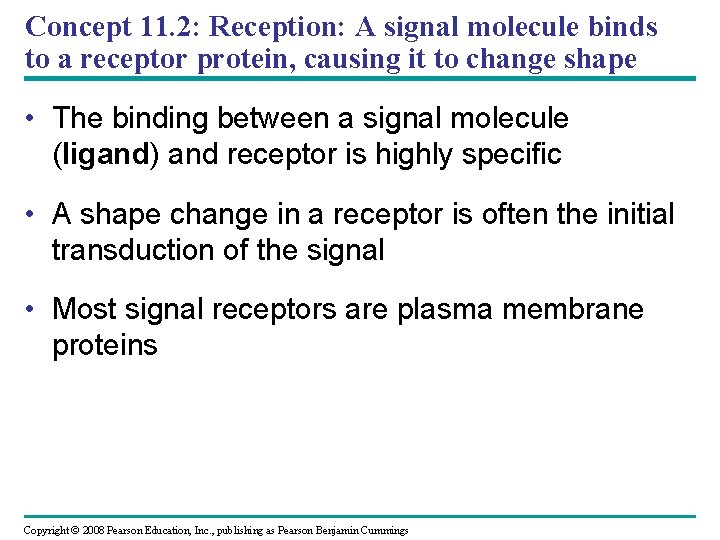 Concept 11. 2: Reception: A signal molecule binds to a receptor protein, causing it