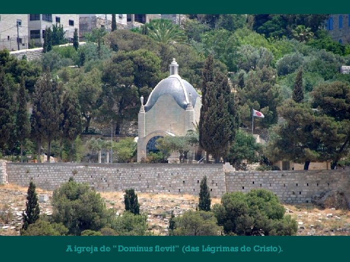 A igreja de “Dominus flevit” (das Lágrimas de Cristo). 