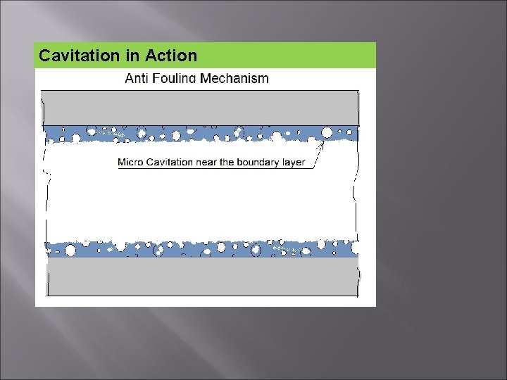 Cavitation in Action 