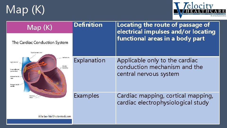 Map (K) Map K Definition Locating the route of passage of electrical impulses and/or