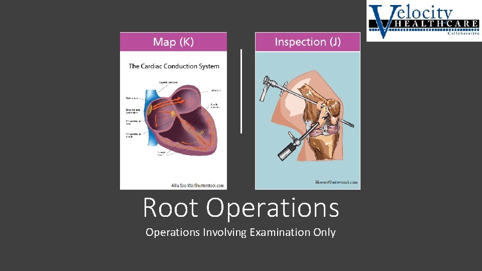 Root Operations Involving Examination Only 
