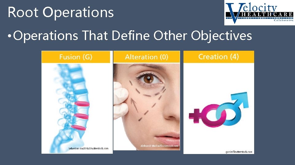 Root Operations • Operations That Define Other Objectives 