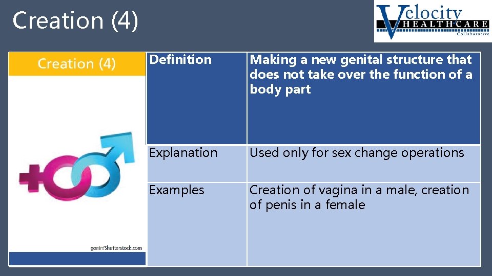 Creation (4) Creation 4 Definition Making a new genital structure that does not take