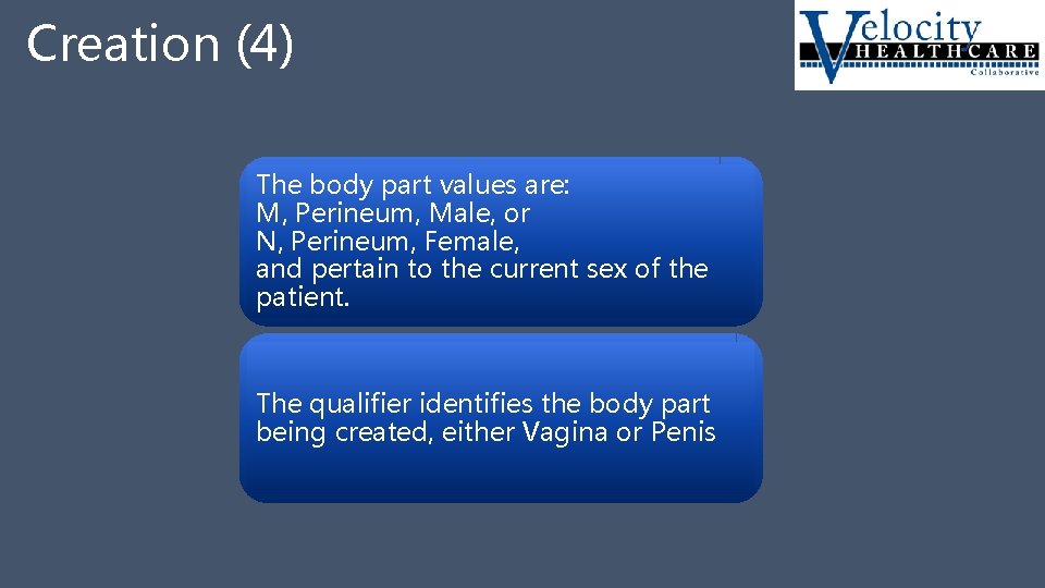 Creation (4) The body part values are: M, Perineum, Male, or N, Perineum, Female,