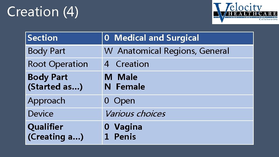 Creation (4) Section 0 Medical and Surgical Body Part W Anatomical Regions, General Root