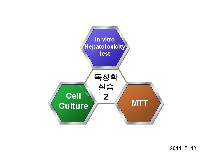 In vitro Hepatotoxicity test Cell Culture 독성학 실습 2 MTT 2011. 5. 13. 