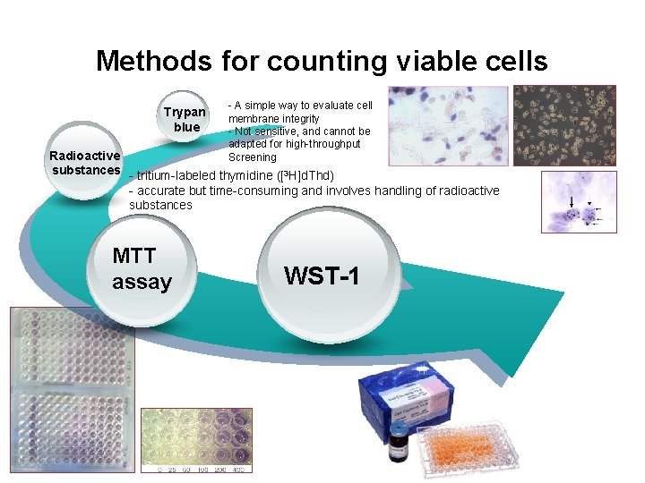 Methods for counting viable cells Trypan blue - A simple way to evaluate cell