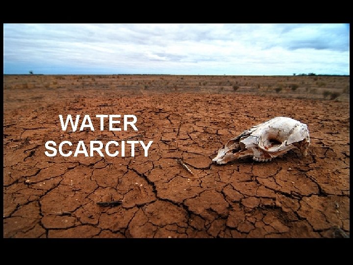 WATER SCARCITY 