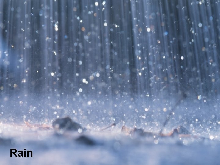 Rain 
