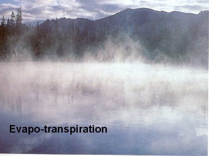 Evapo-transpiration 