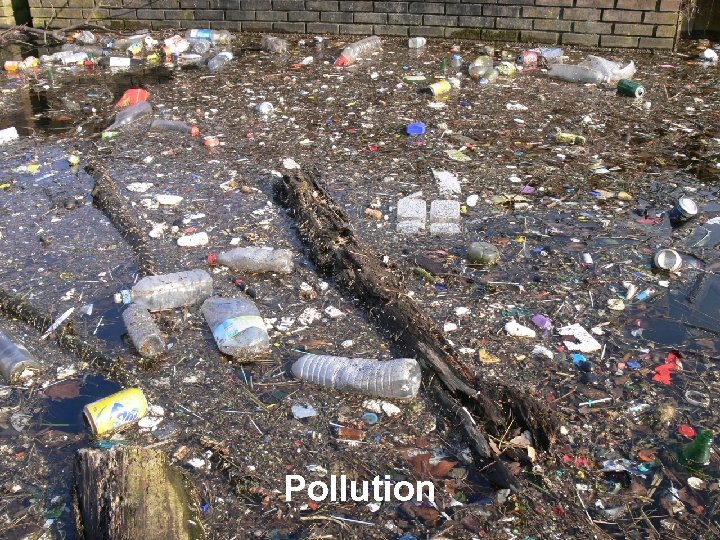 Pollution 