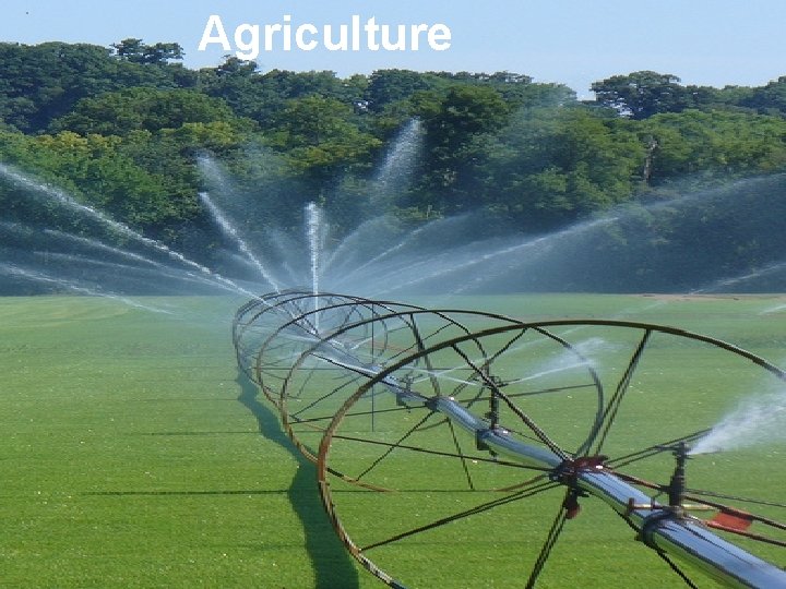 Agriculture 