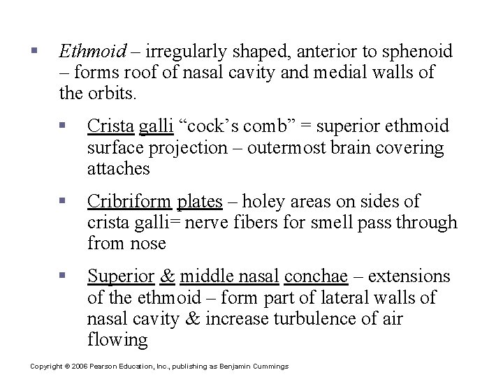 The Cranium § Ethmoid – irregularly shaped, anterior to sphenoid – forms roof of